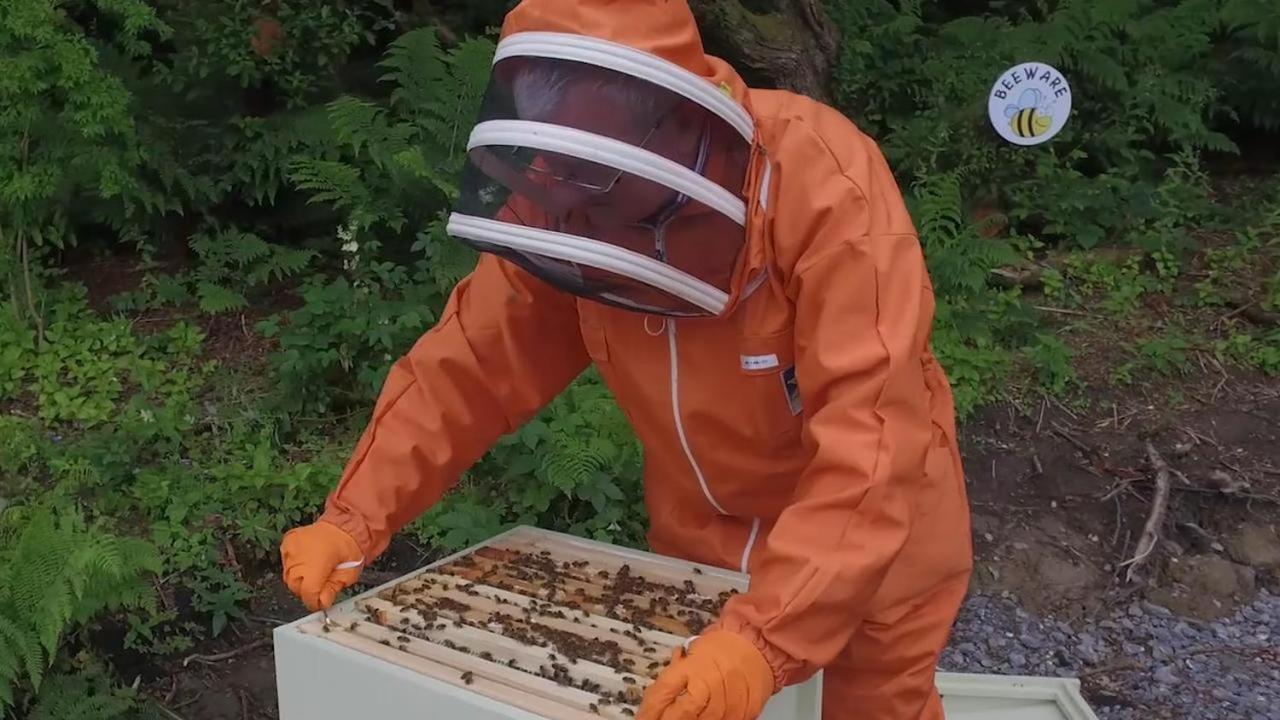 The Bee Pods Villa Rossnowlagh Ngoại thất bức ảnh